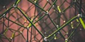 green rope mesh network